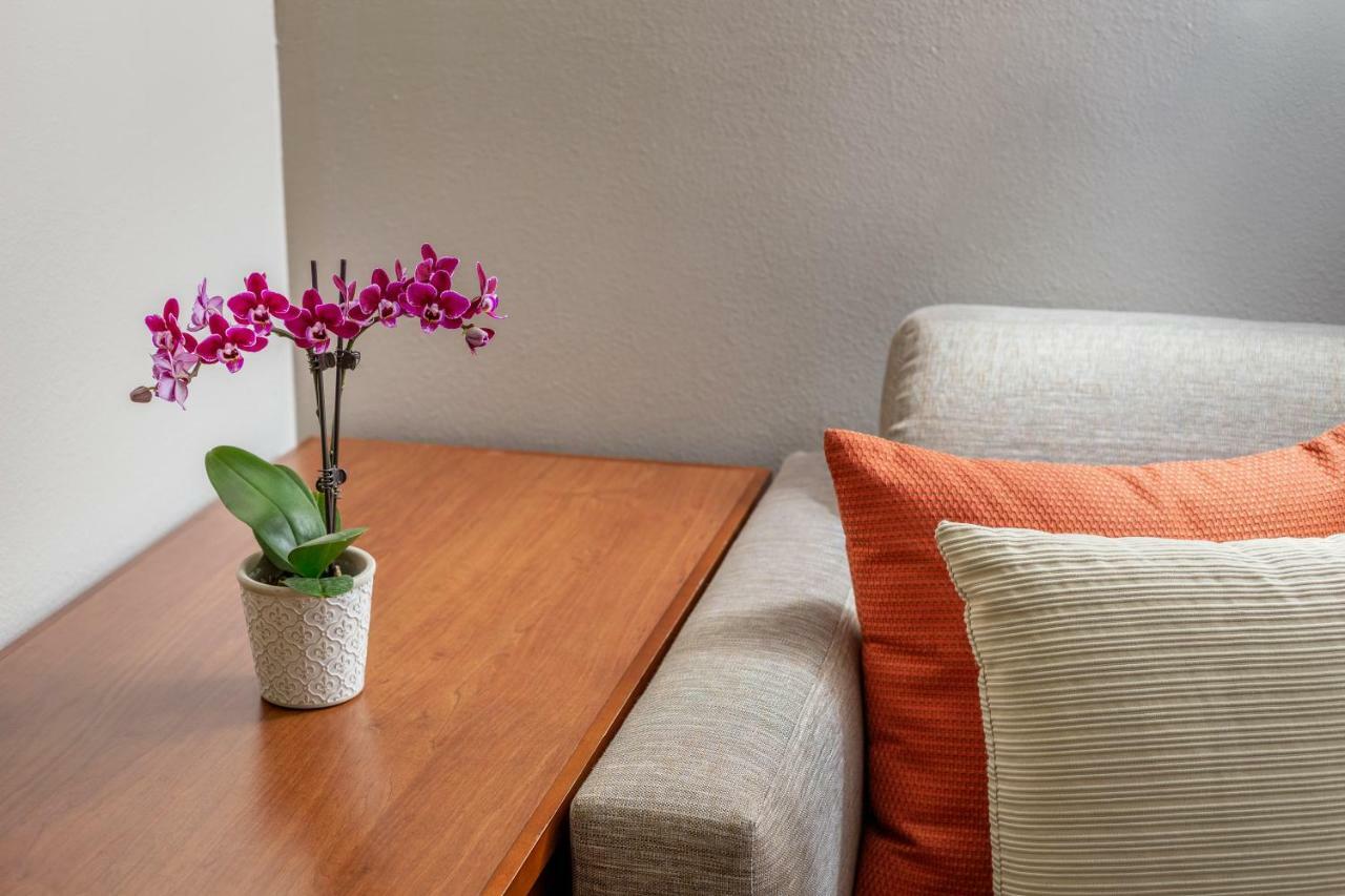 Hyatt Place Dallas/North Arlington/Grand Prairie מראה חיצוני תמונה